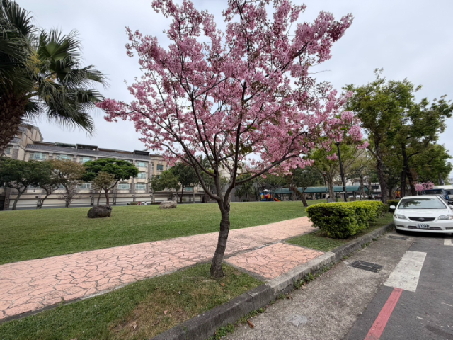 慕夏三房車,桃園市八德區正福街