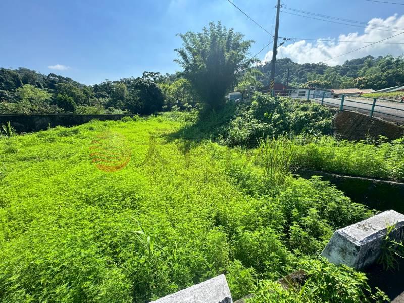 大溪信義段美農地,桃園市大溪區信義段