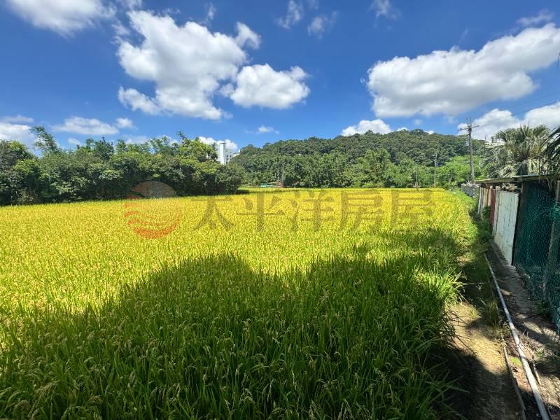 大溪 大圳段農地,桃園市大溪區員東路