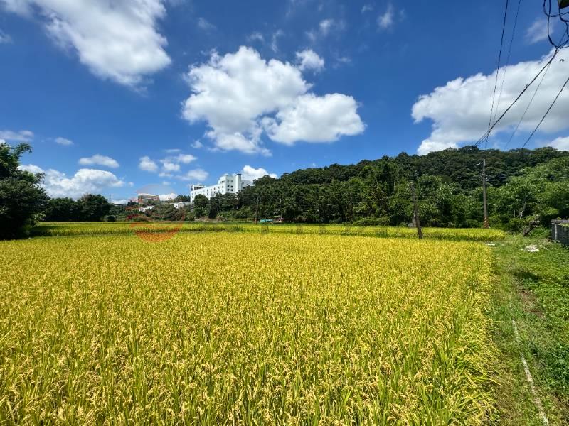大溪 大圳段農地,桃園市大溪區員東路