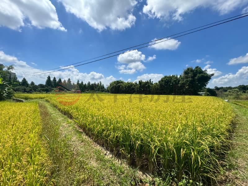 大溪 大圳段農地,桃園市大溪區員東路