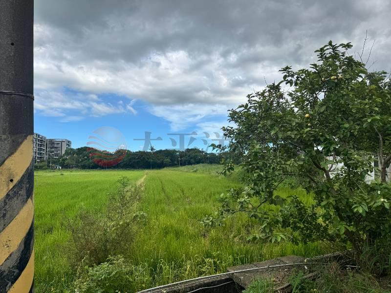 蘆竹宏林段農地,桃園市蘆竹區宏林段